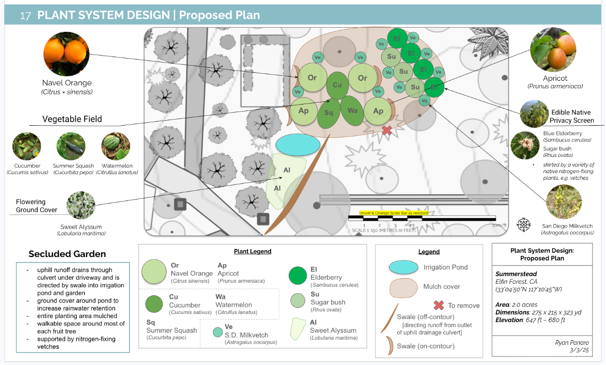 Food forest polyculture plant design