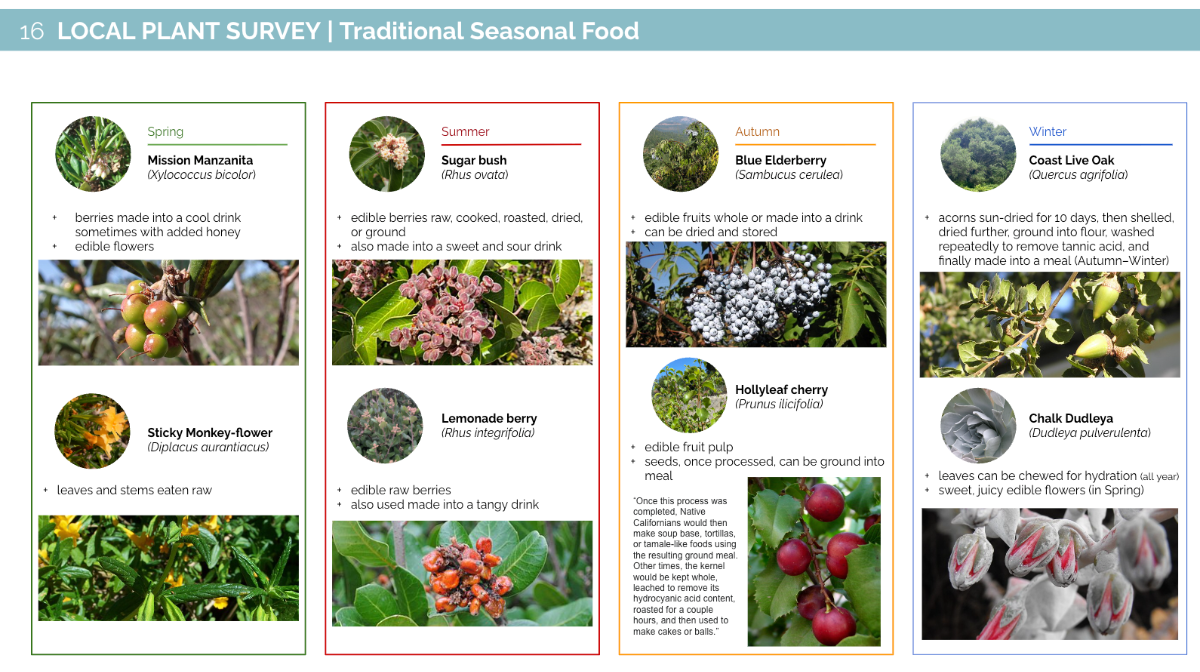 Ecology and site context