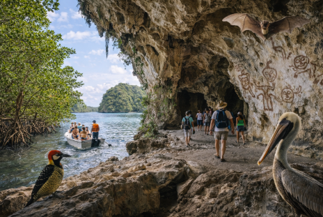 Los Haitises National Park mangroves and lush nature