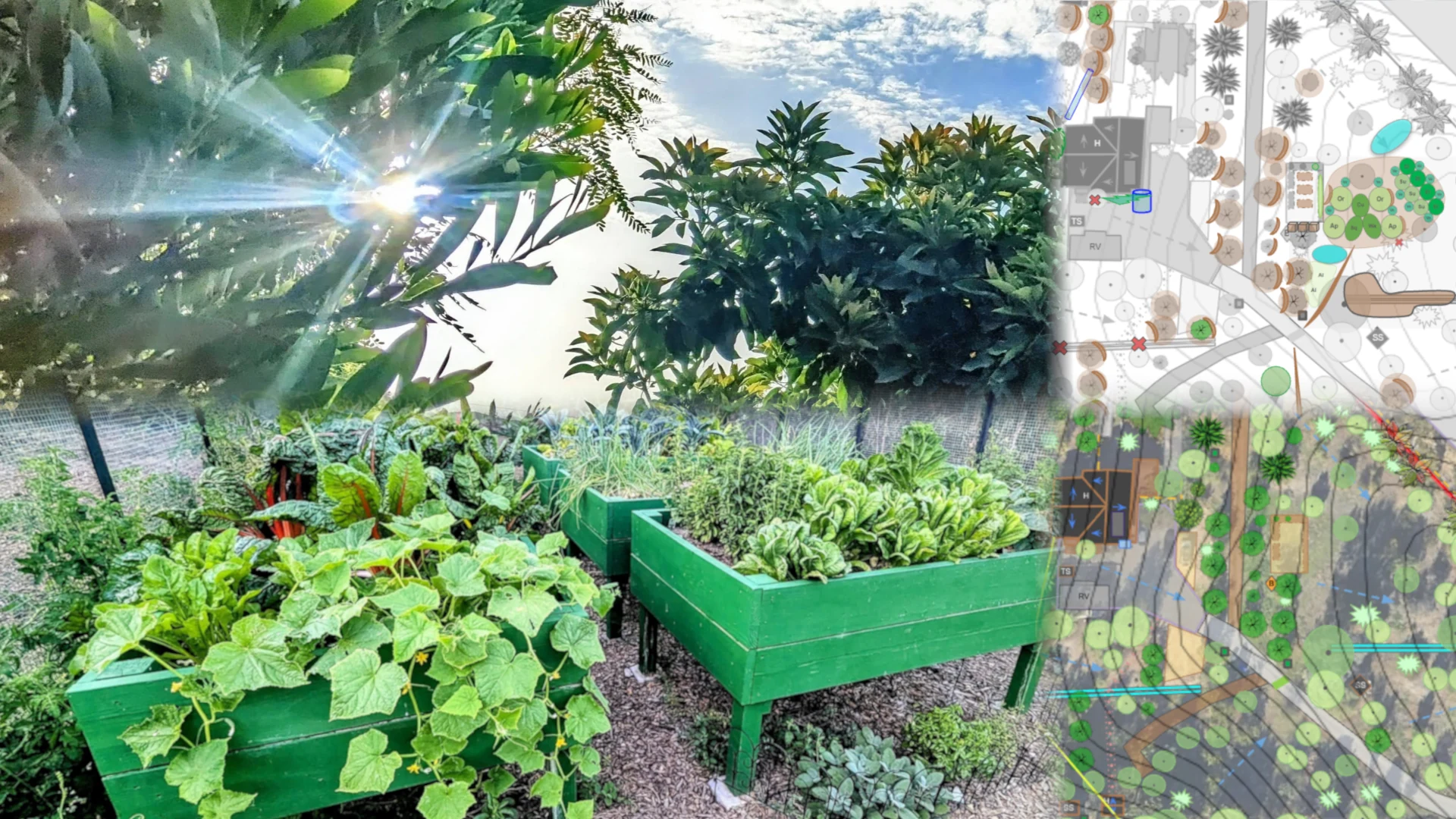 Sacred Grove hero background